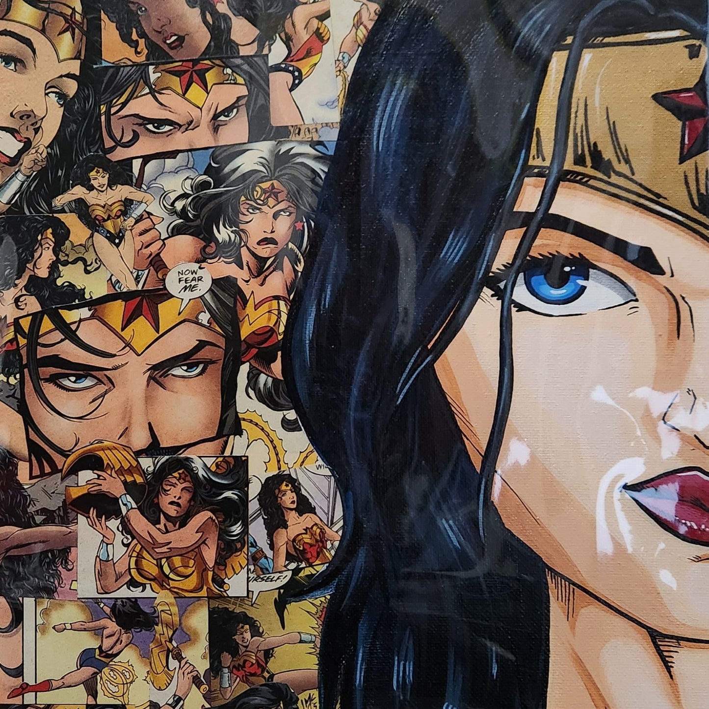 Wonder Woman | Collage (Painting)